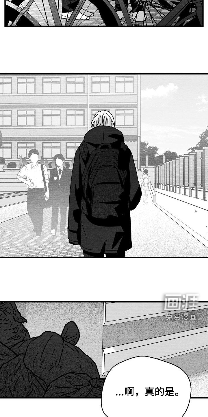 第136话19