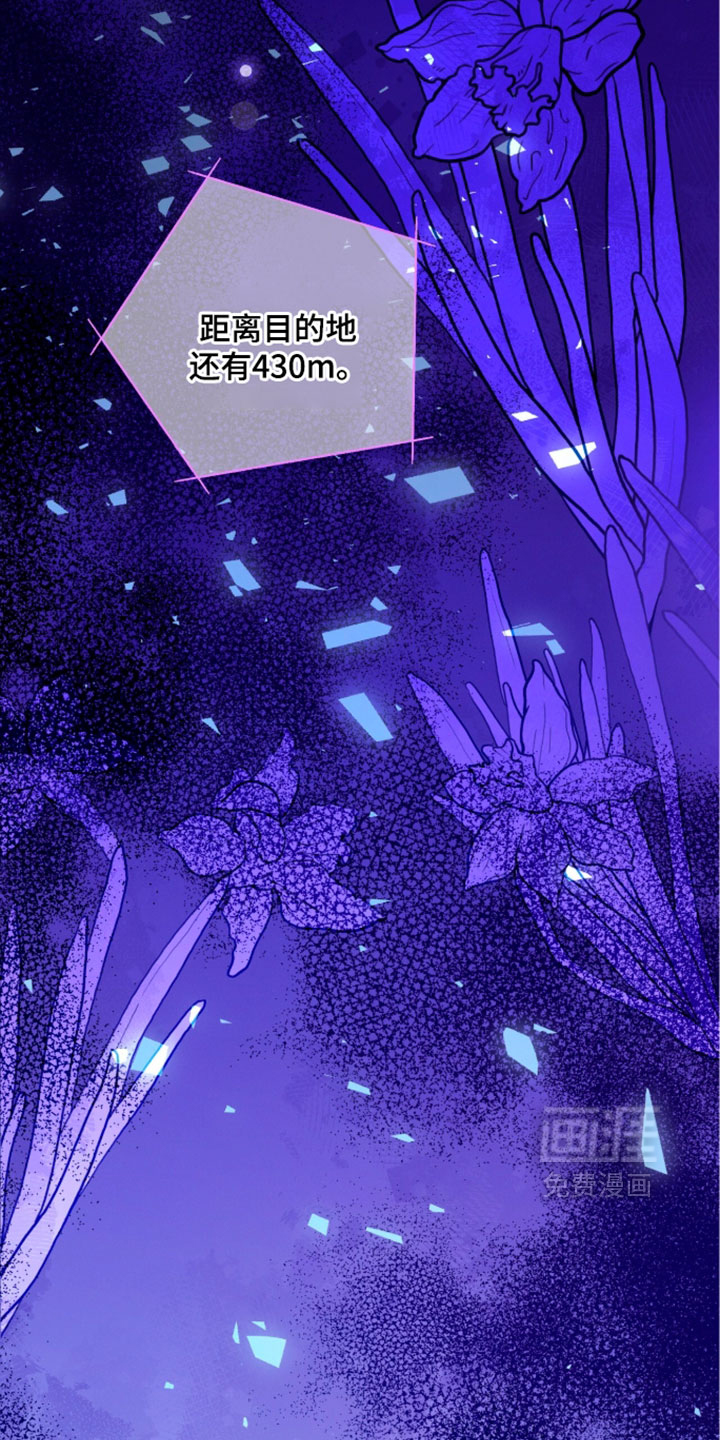 第243话17
