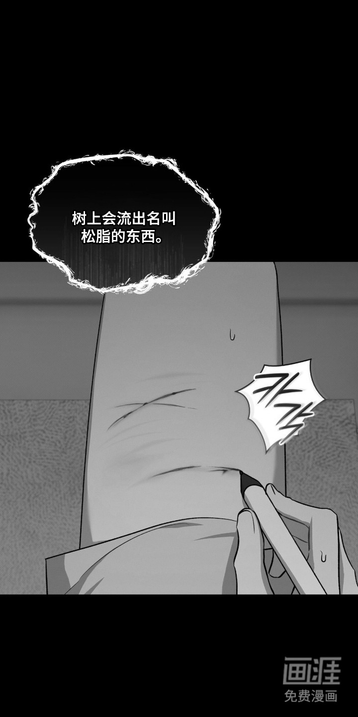 第95话28
