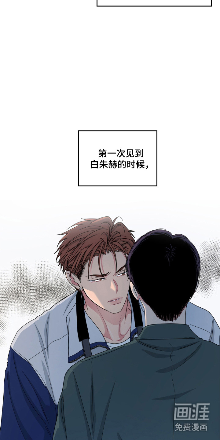 第124话1