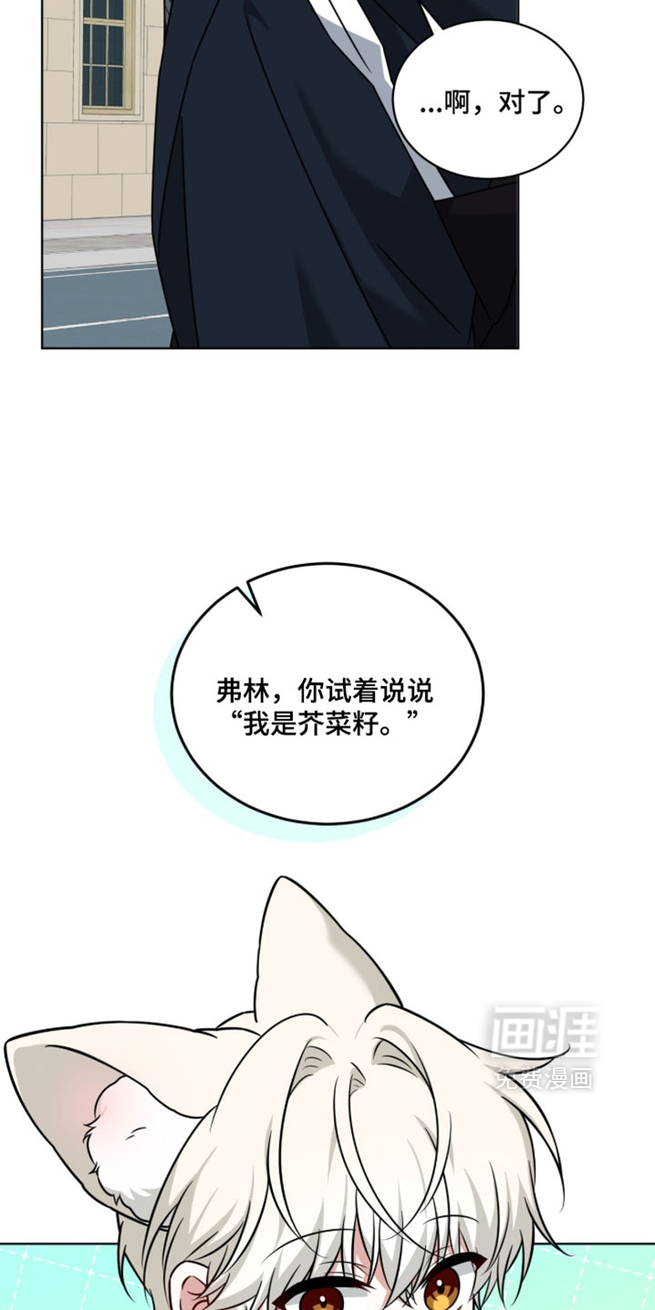 第121话24