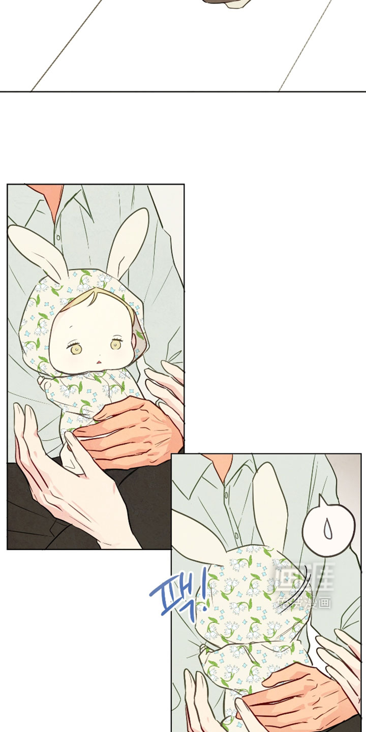 第100话11