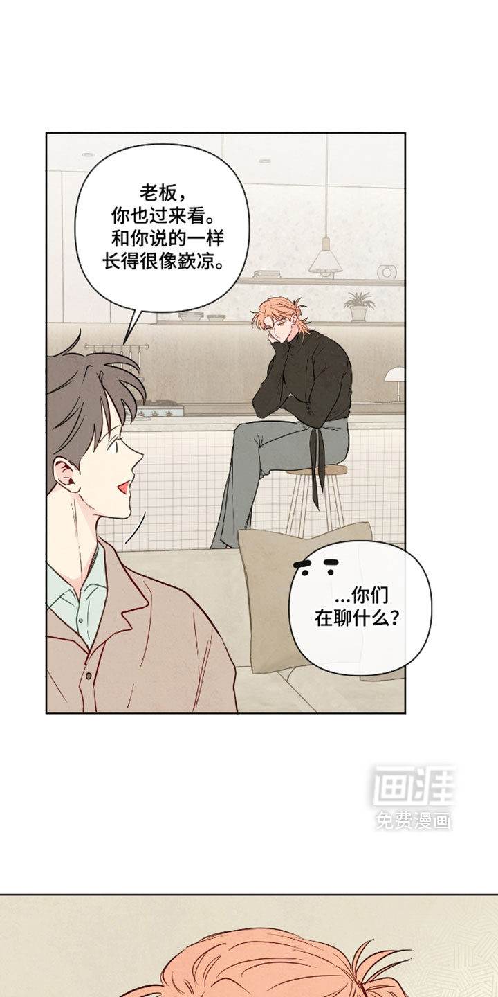 第100话3