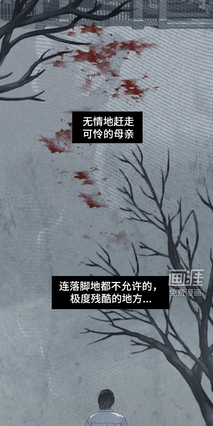 第27话28