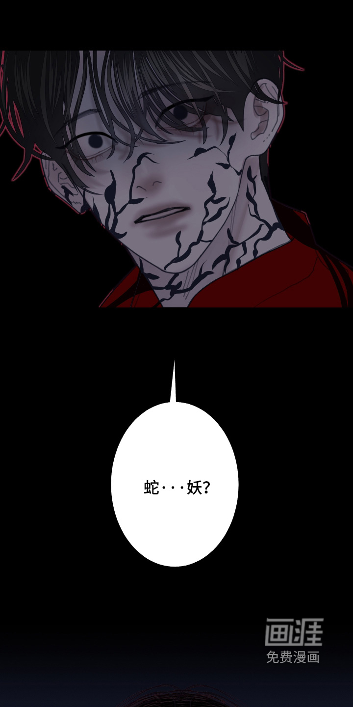 第251话4