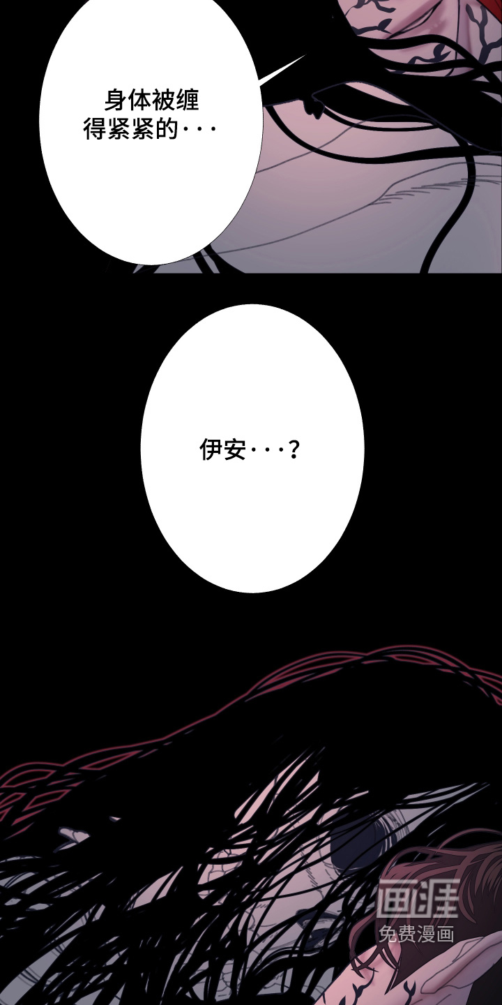 第250话22