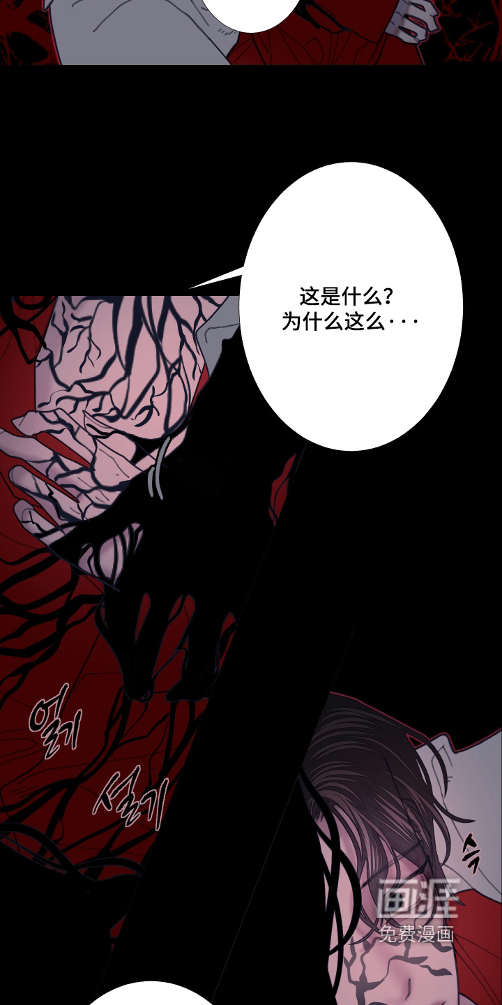 第250话21