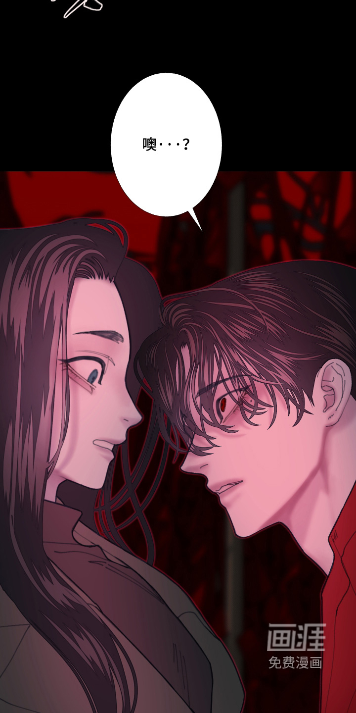 第248话12