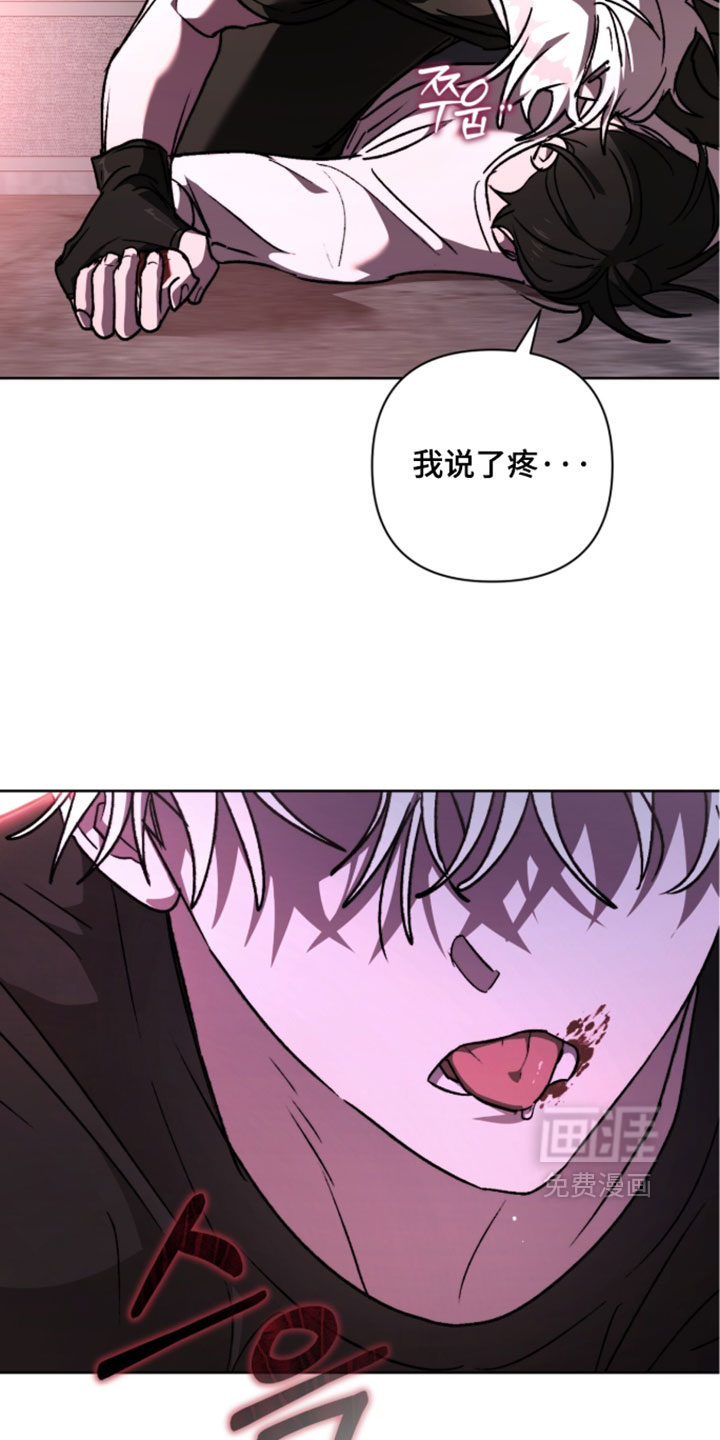 第26话28