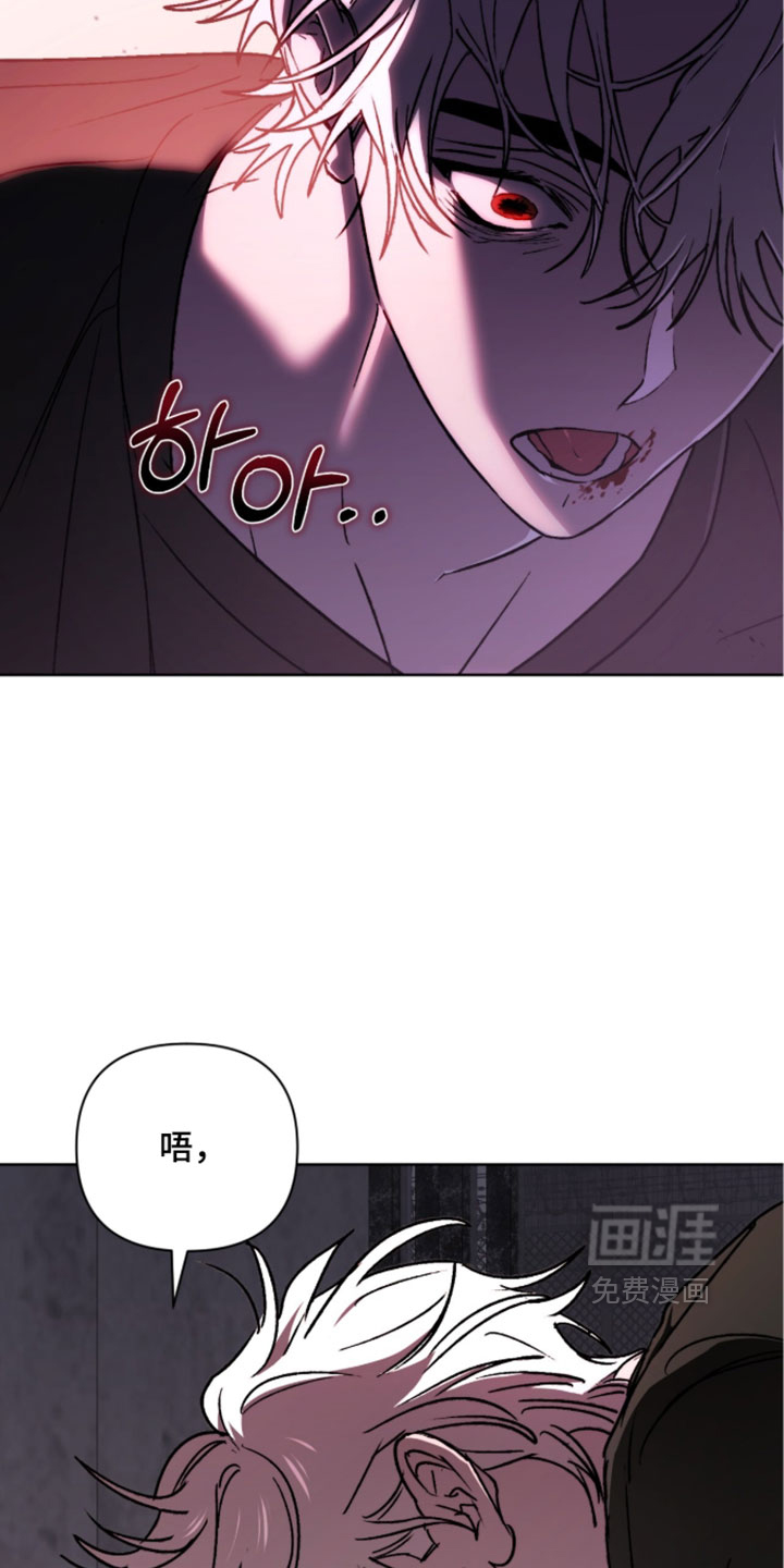 第26话25