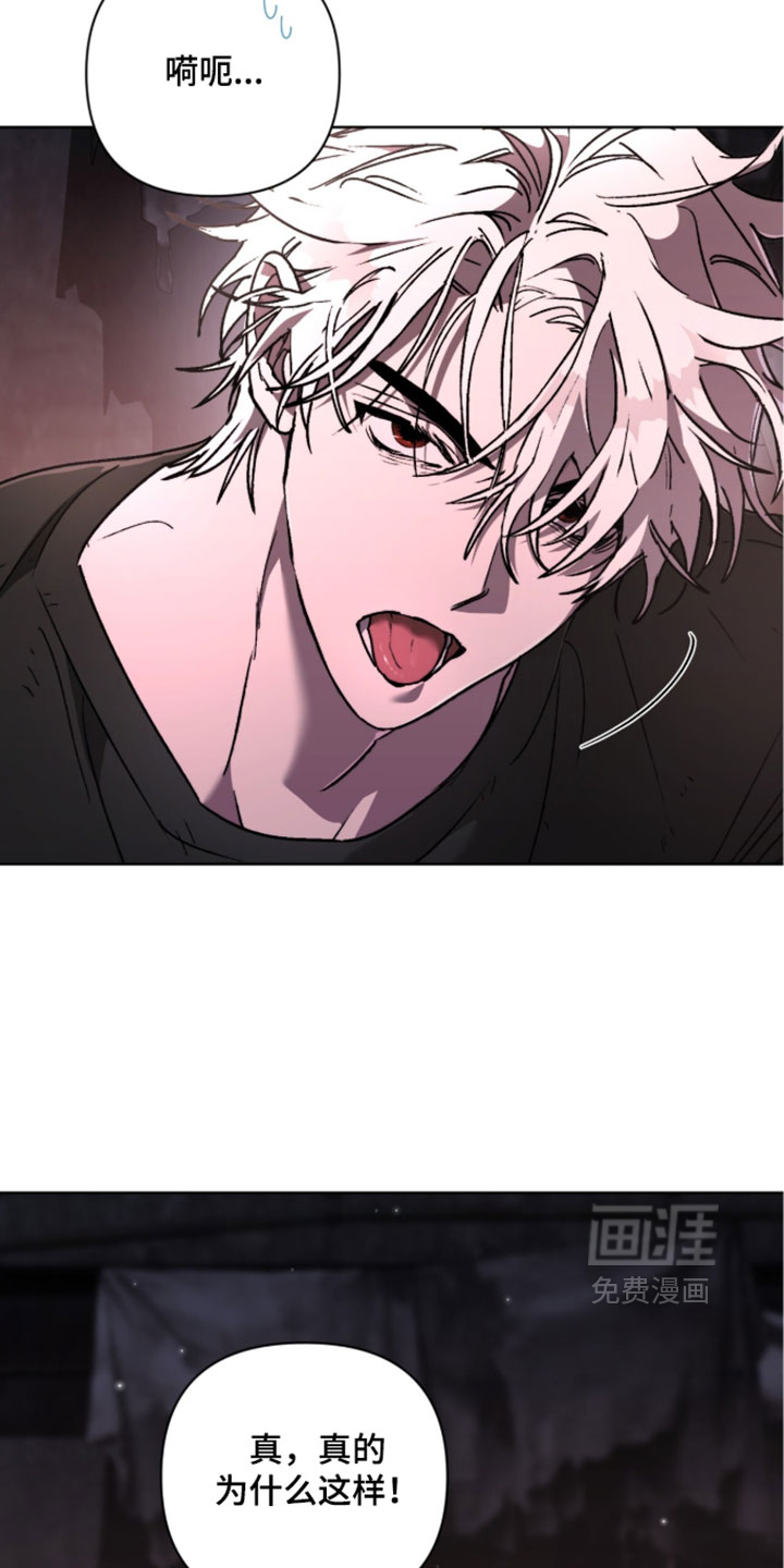 第26话3
