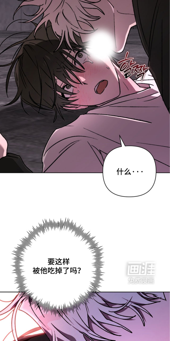 第26话26