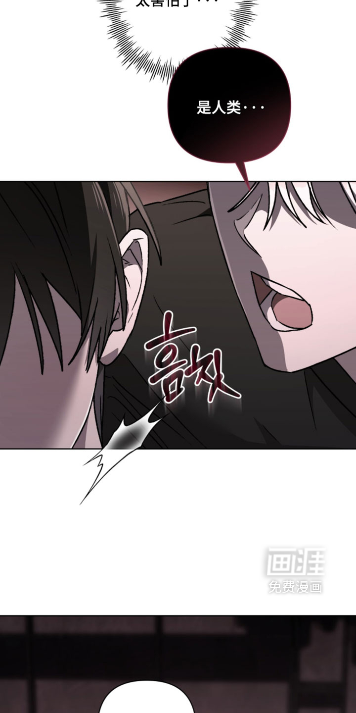 第25话19