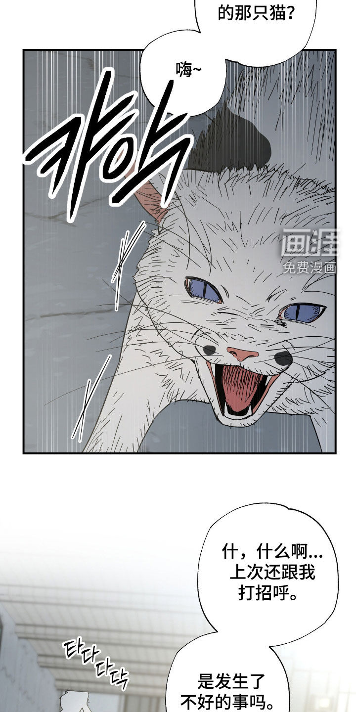 第28话27