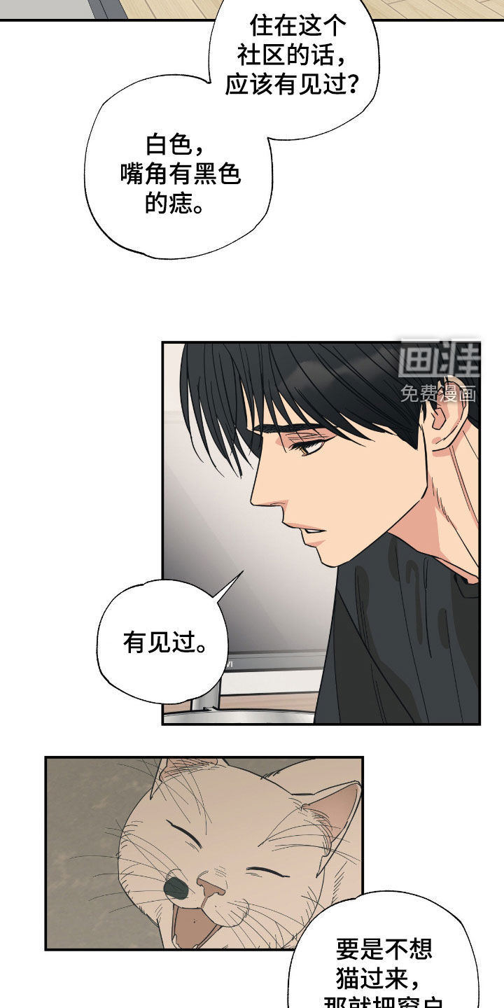 第26话8