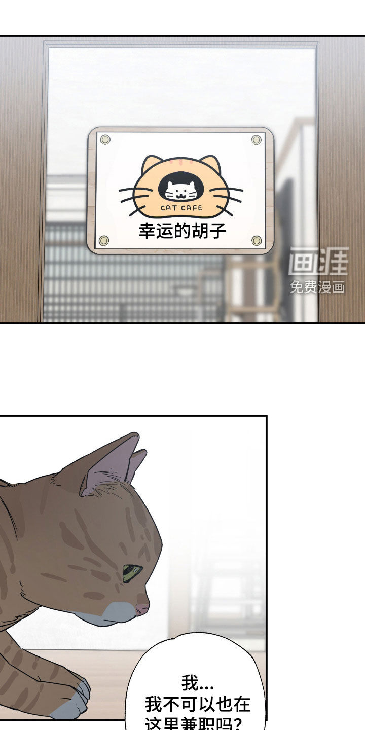 第24话0