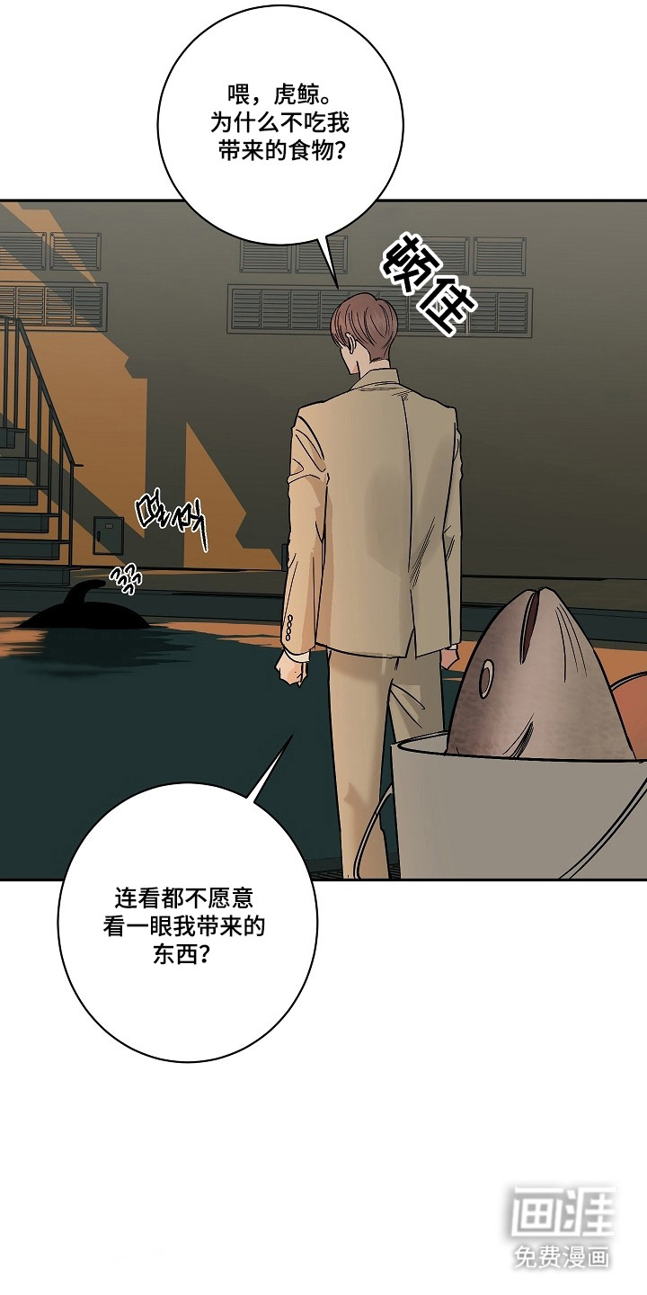 第111话36