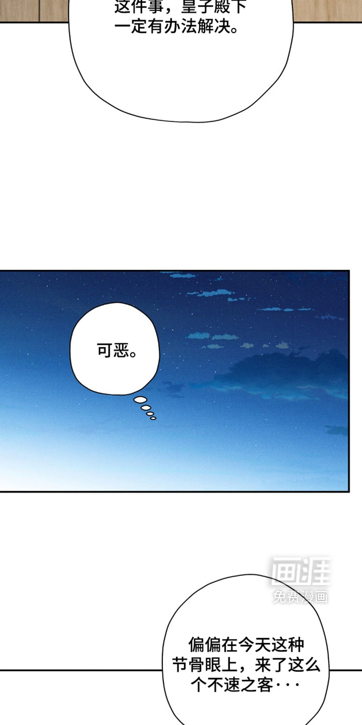 第207话18