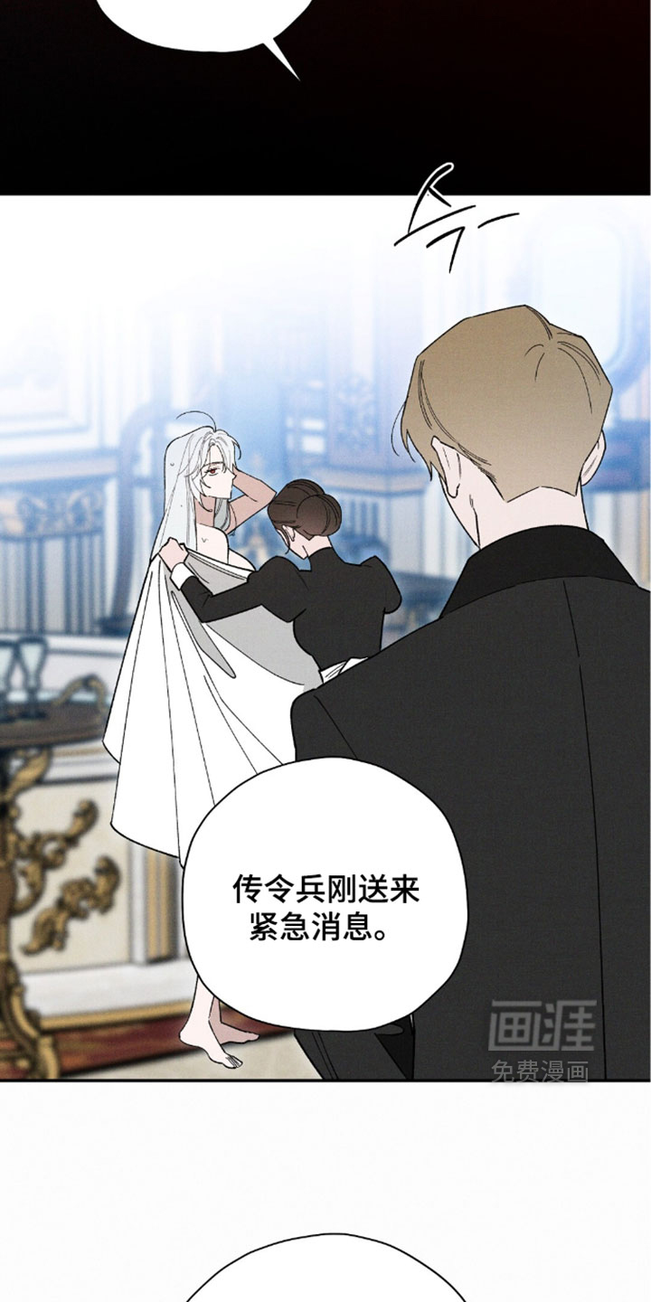 第205话23