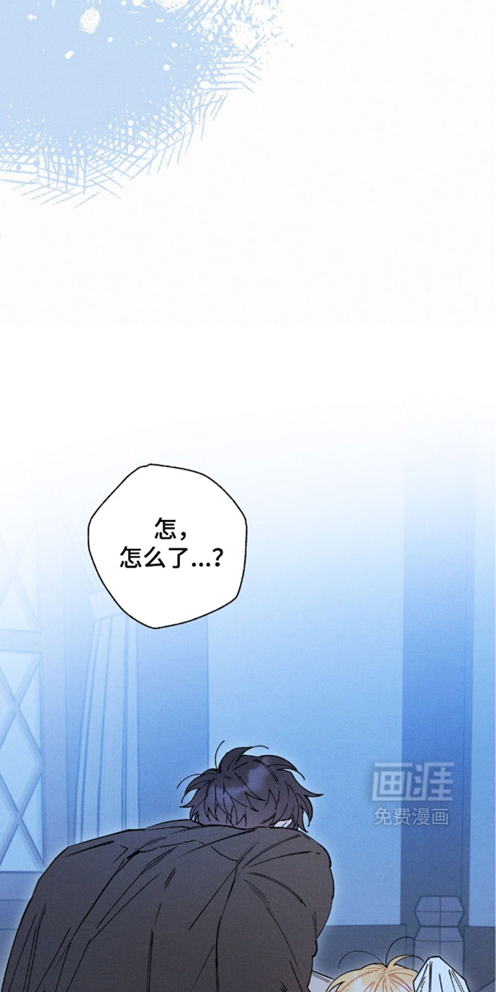 第204话5