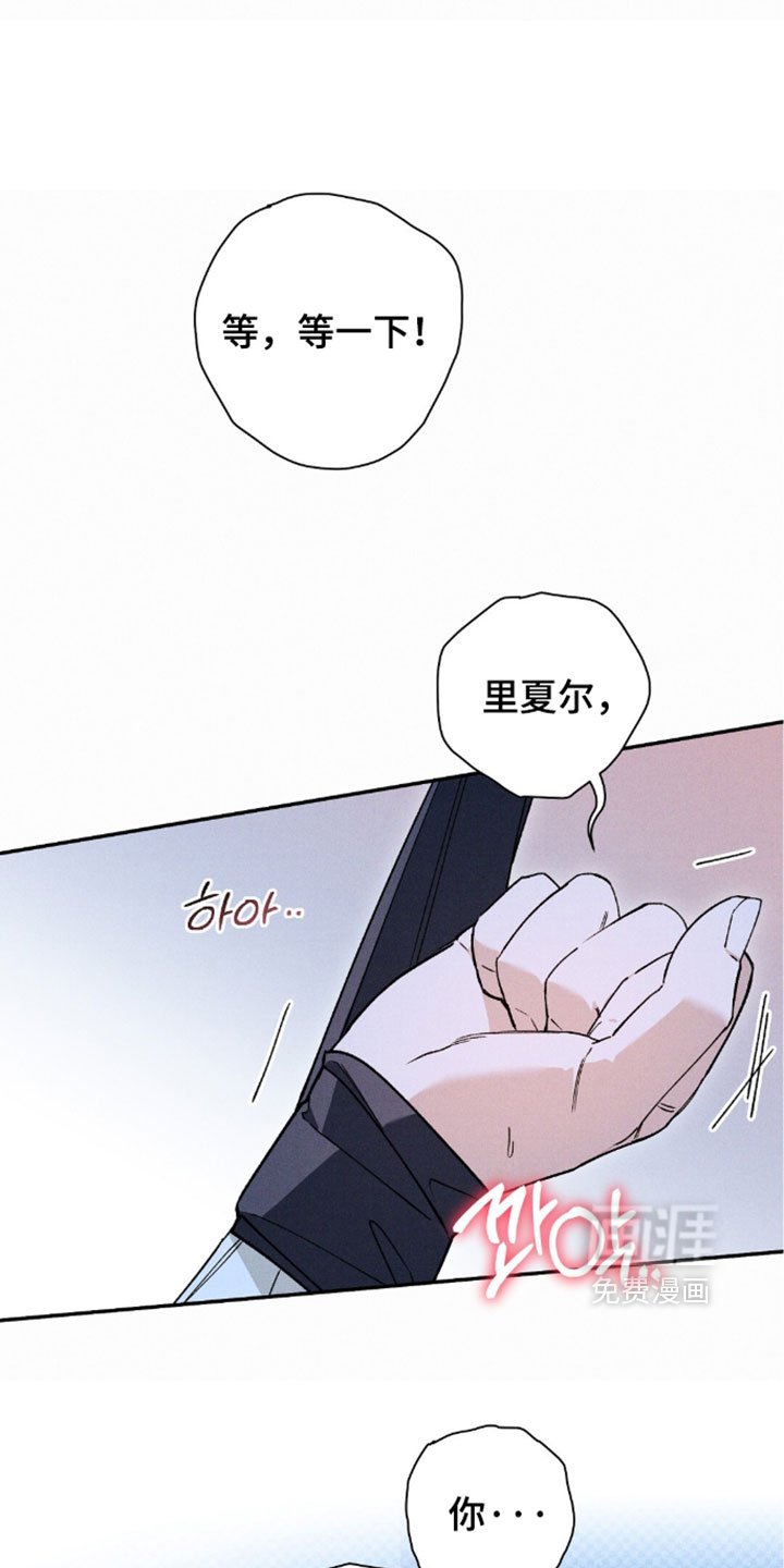 第204话0