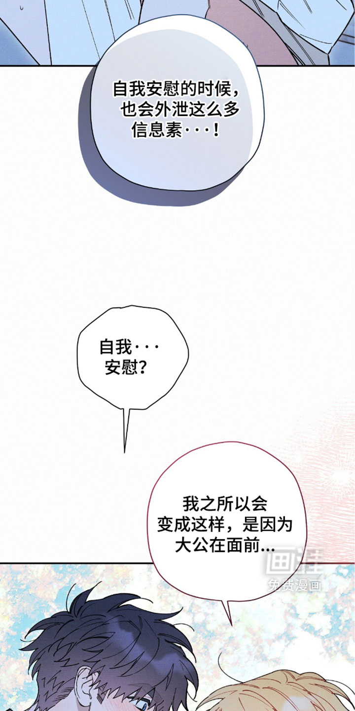 第204话11