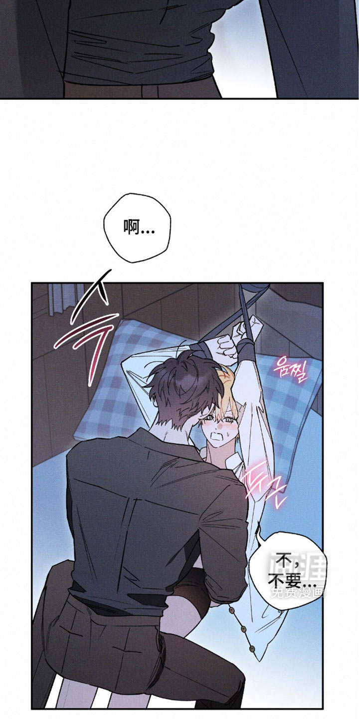 第204话3
