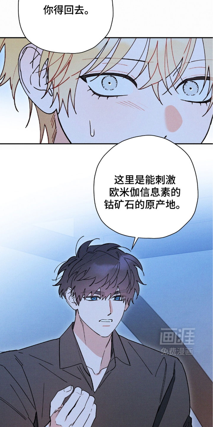 第204话7