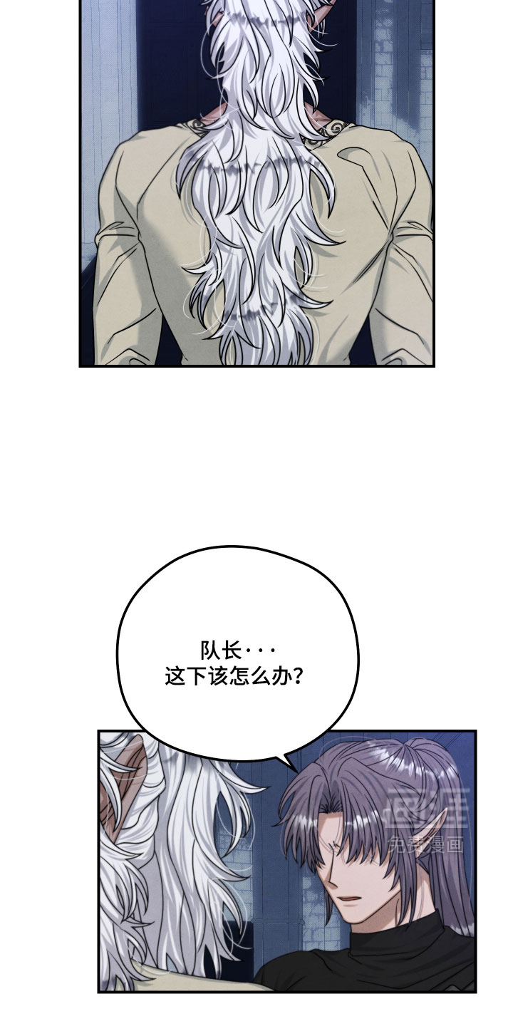 第49话11