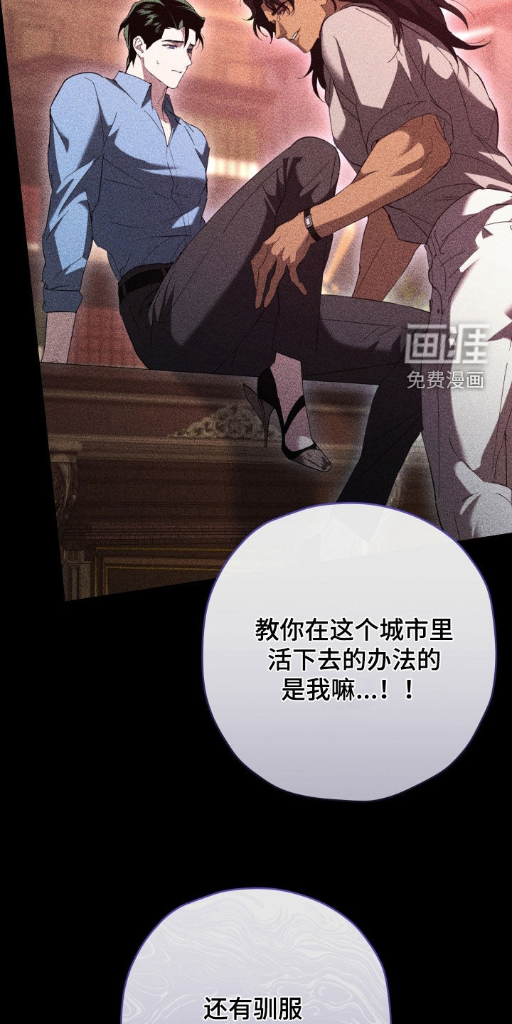 第84话31
