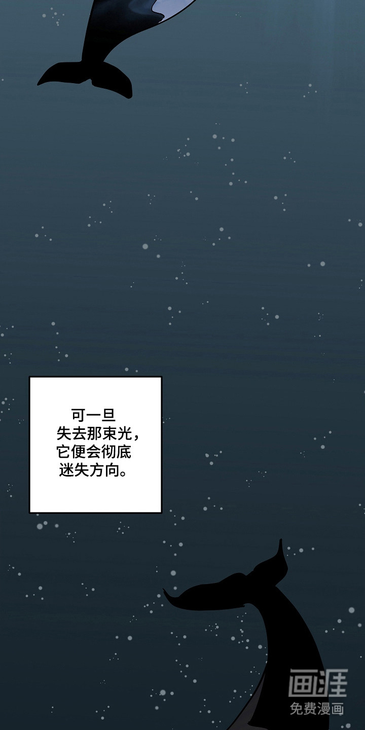 第114话2