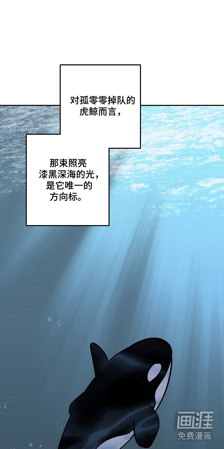 第114话1