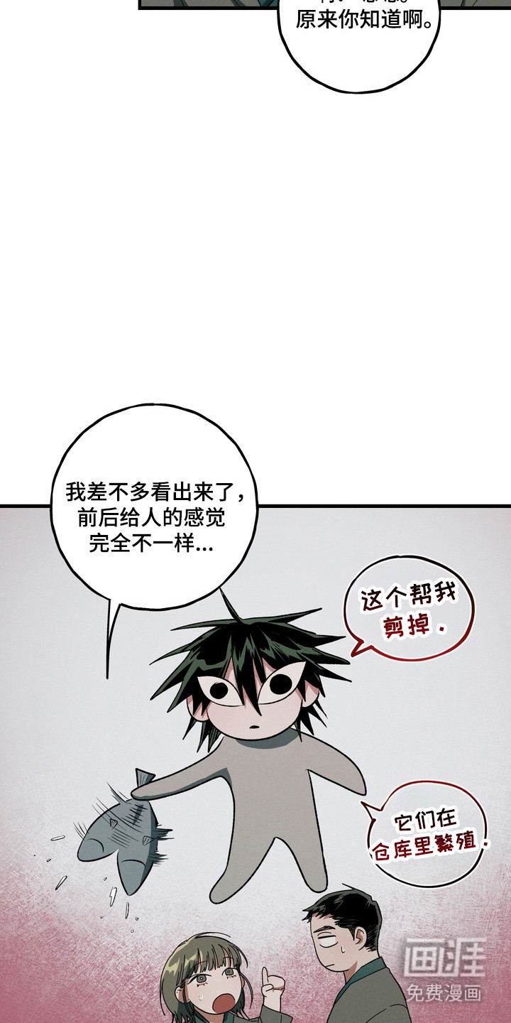第41话3