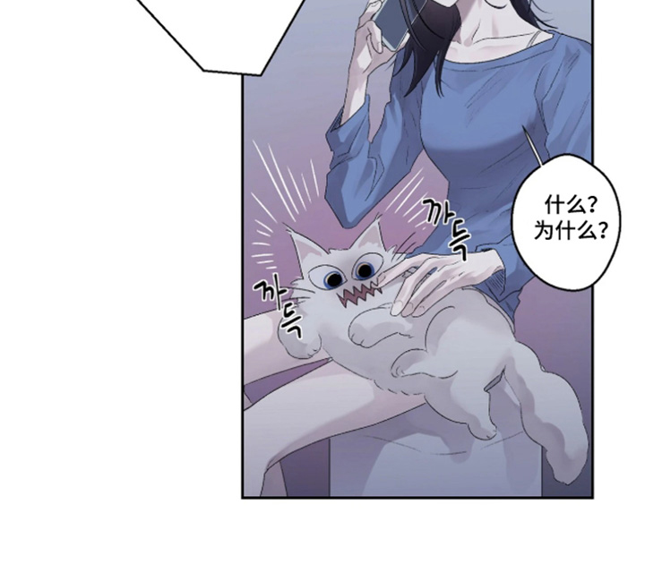 第44话17