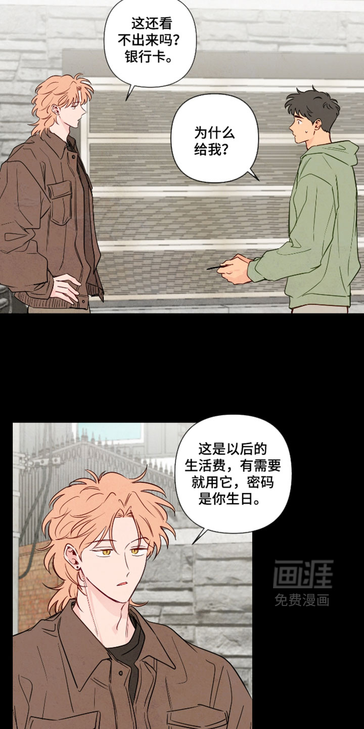 第102话11