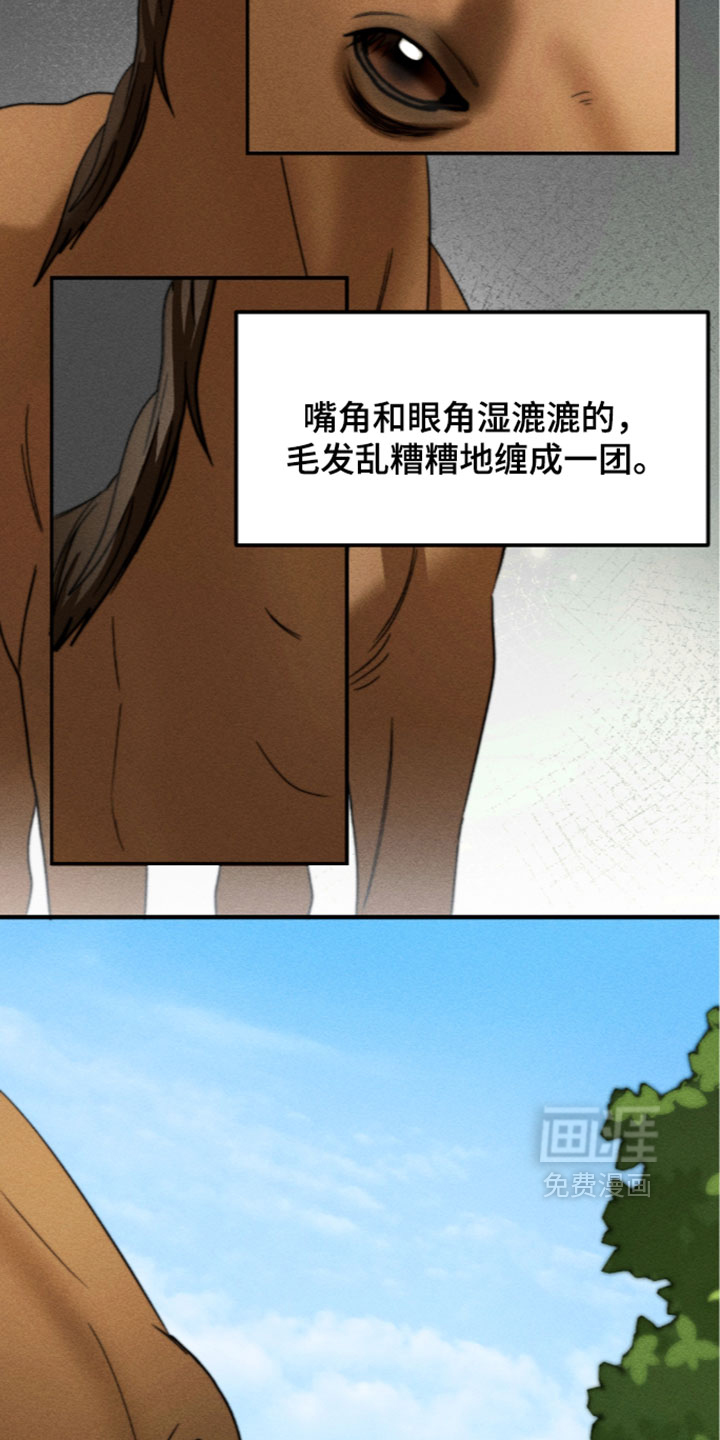 第46话3