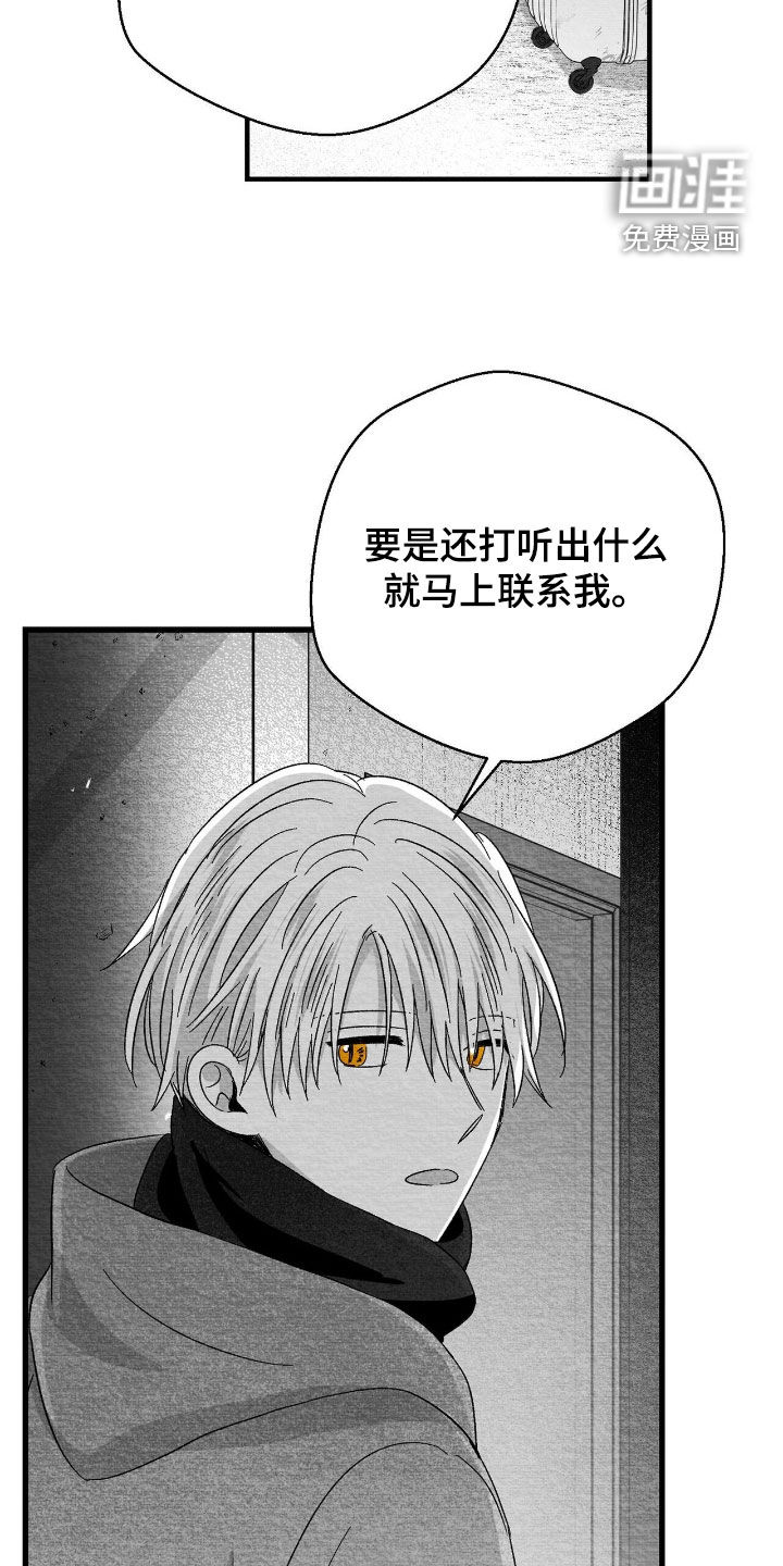 第150话13