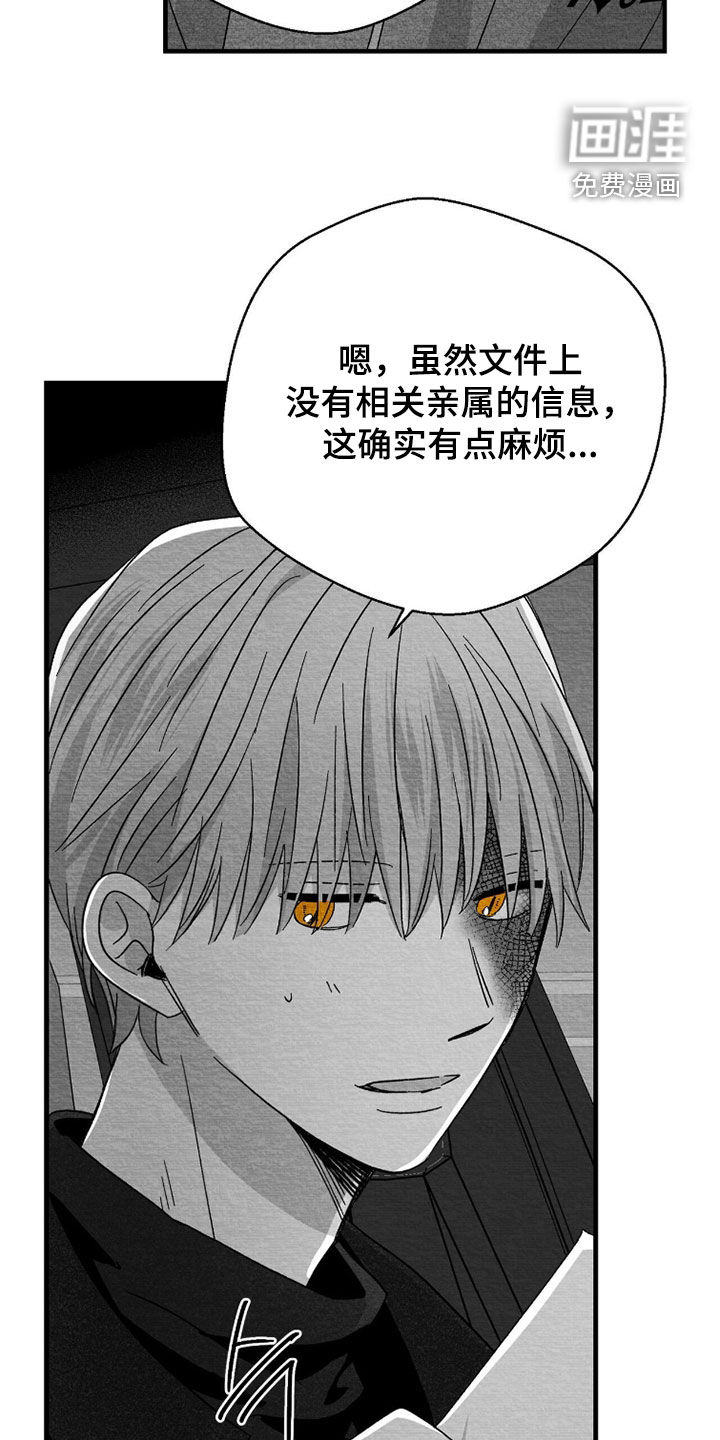 第148话13
