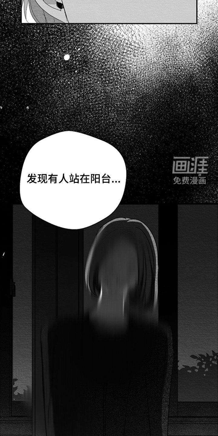 第146话14