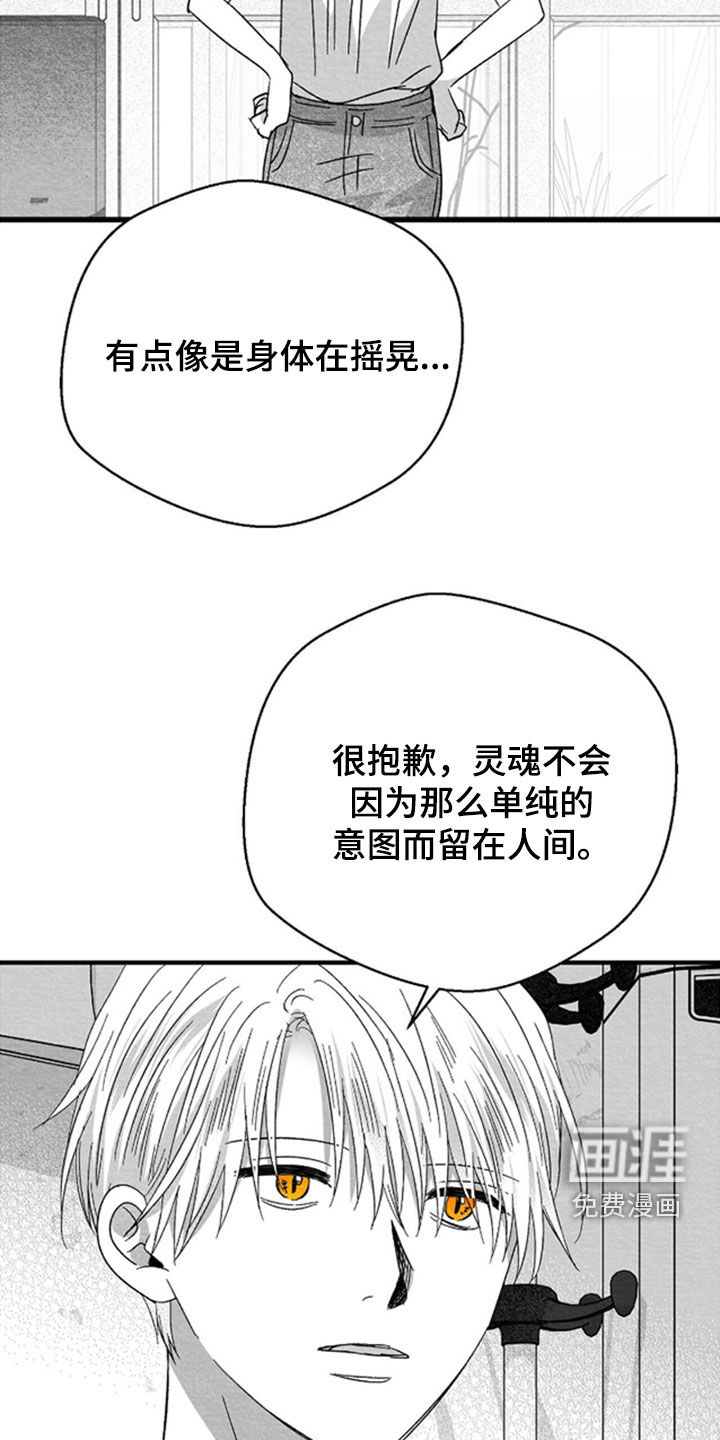 第146话26