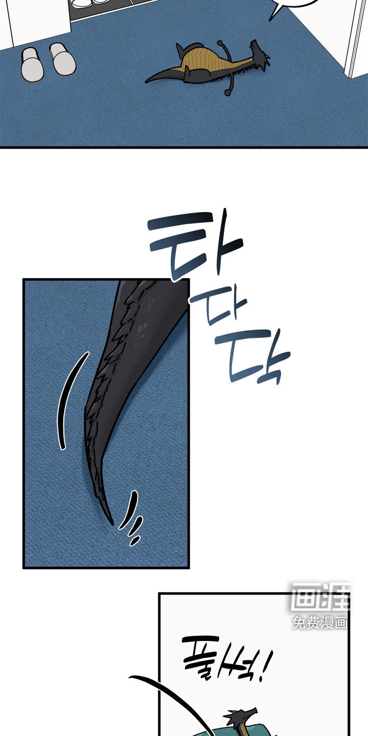 第35话14