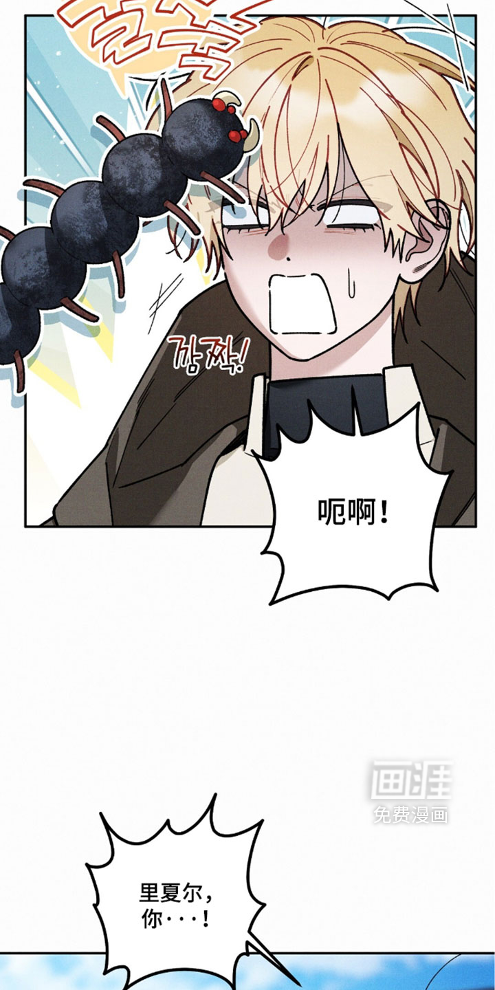 第208话6