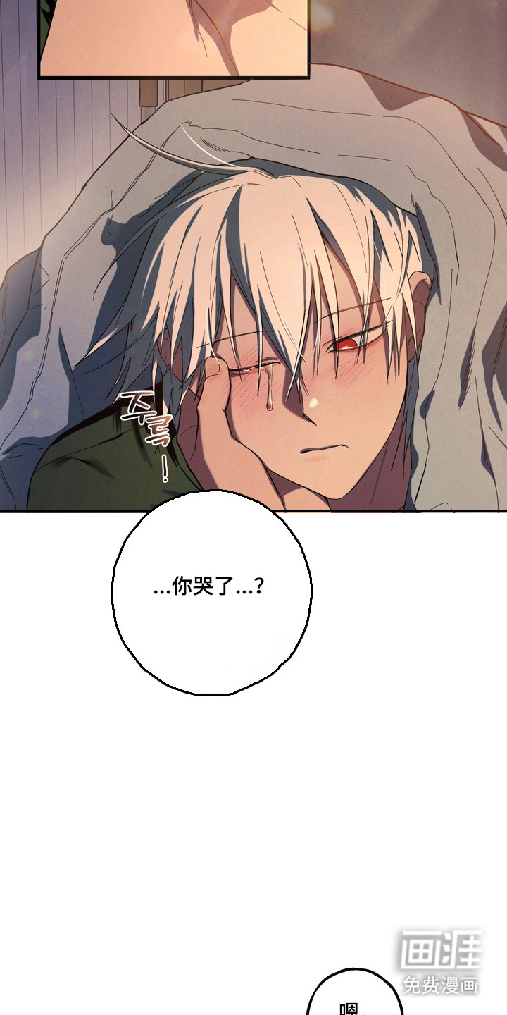 第43话18