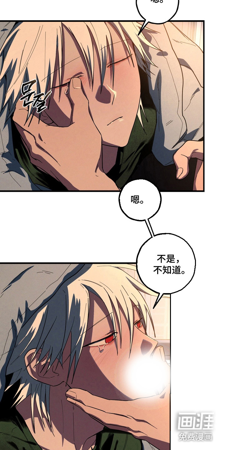 第43话19