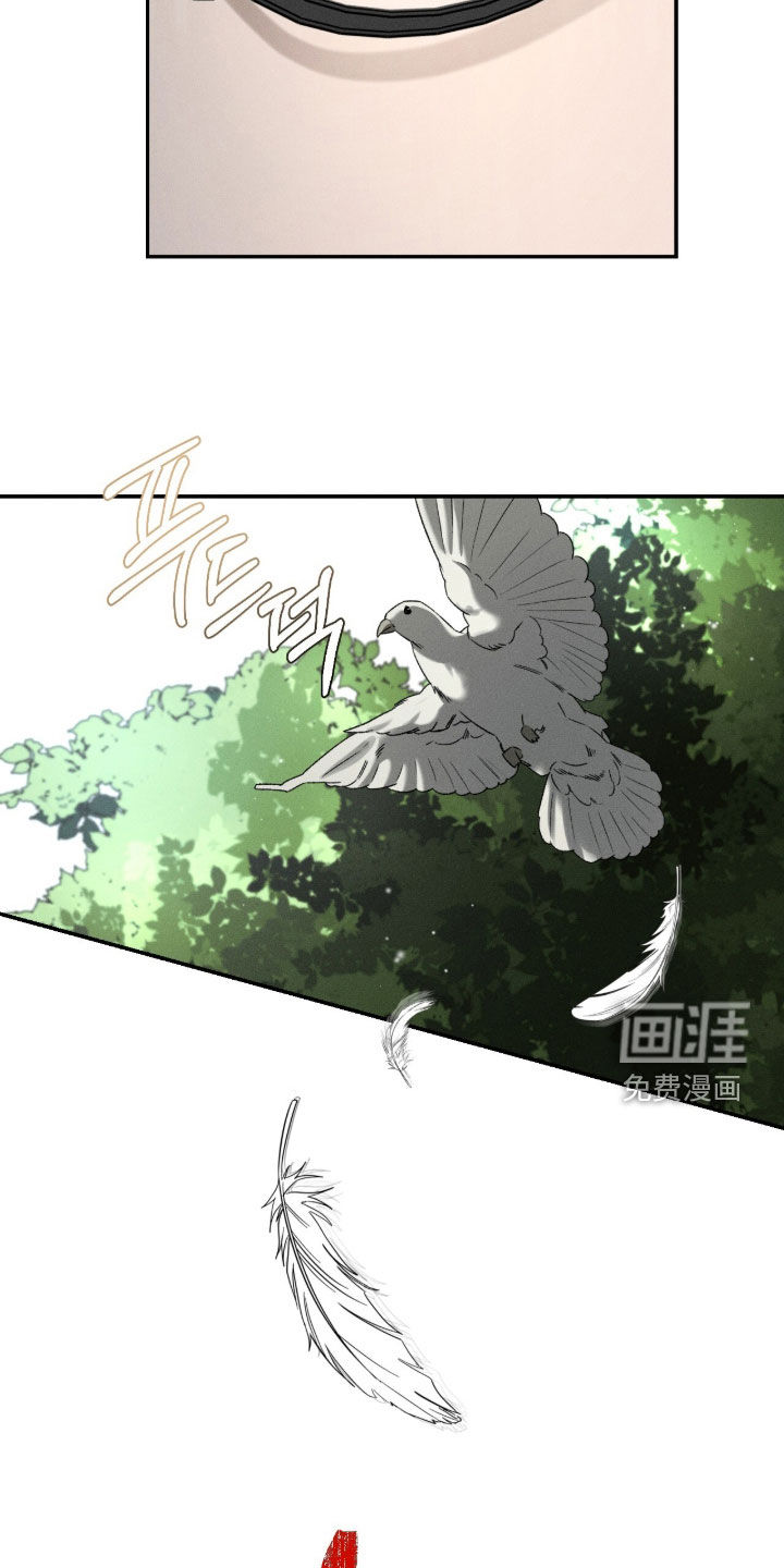 第54话7