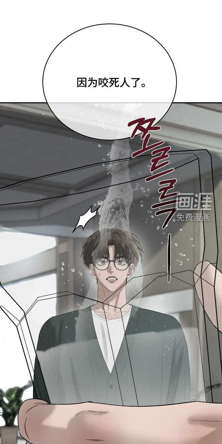 第53话27