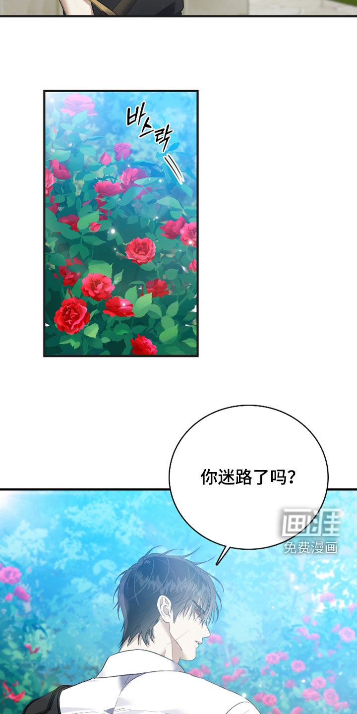 第53话5