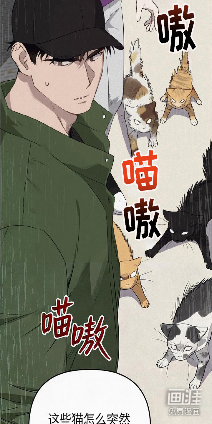 第5话3