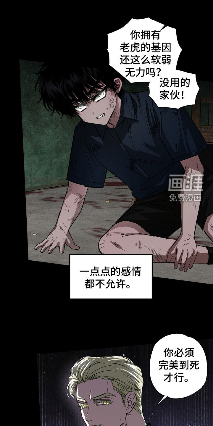 第38话11
