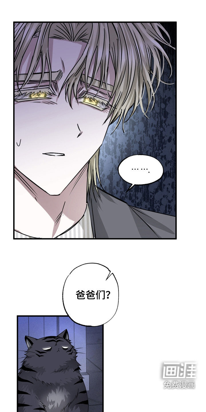 第37话11